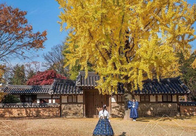 canh_phuc_cung_mua_thu