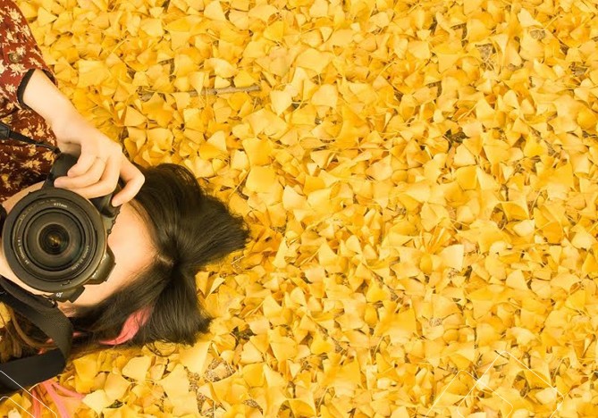 la_vang_han_quoc_thu